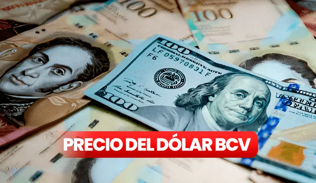 Precio del dólar BCV hoy, 13 de mayo de 2025, según el Banco Central de Venezuela. Foto: composición LR Precio del dólar BCV hoy, 13 de mayo de 2025, según el Banco Central de Venezuela. Foto: composición LR