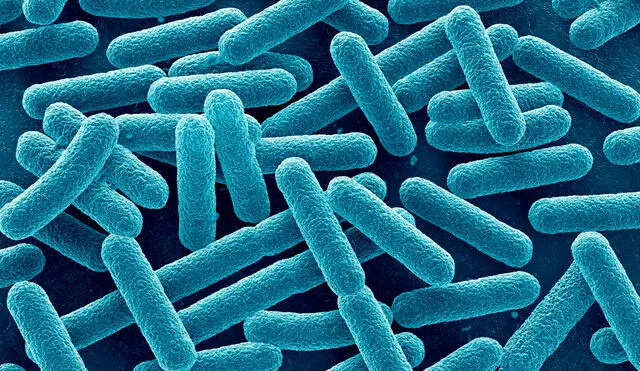 Brote de listeria en California y Nevada obliga a retirar productos listos para consumir en Estados Unidos. Brote de listeria en California y Nevada obliga a retirar productos listos para consumir en Estados Unidos.