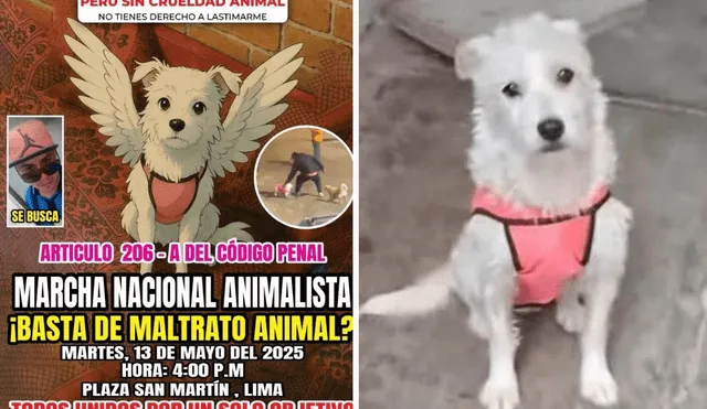 Organizaciones animalistas exigen justicia para Bianca, la perrita asesinada en Trujillo. Organizaciones animalistas exigen justicia para Bianca, la perrita asesinada en Trujillo.