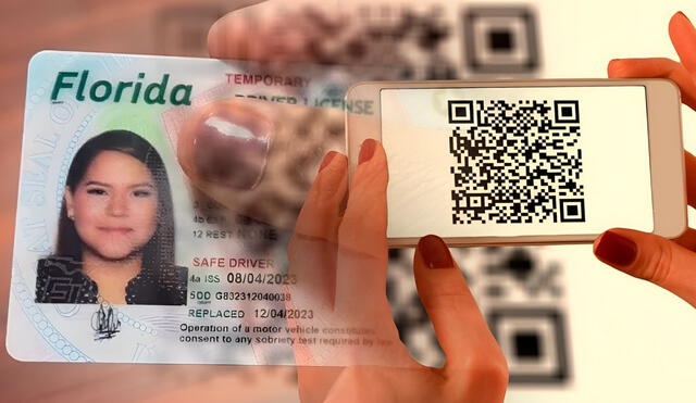 Miami-Dade, en Florida, implementará nuevo sistema de citas para obtener la licencia de conducir y la Real ID.
