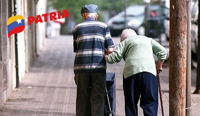 Los pensionados de Amor Mayor no reciben la pensión IVSS. Foto: composiciónLR/Michelle Rivera/Patria Los pensionados de Amor Mayor no reciben la pensión IVSS. Foto: composiciónLR/Michelle Rivera/Patria