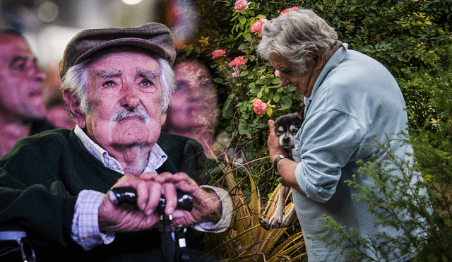 Antes de partir, José 'Pepe' Mujica pidió ser enterrado con su perrita Manuela. Foto: composición LR/AFP Antes de partir, José 'Pepe' Mujica pidió ser enterrado con su perrita Manuela. Foto: composición LR/AFP