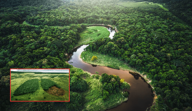 Durante décadas, se ha creído que el Amazonas es el pulmón del planeta. Foto: composición LR/El País/RAISG Durante décadas, se ha creído que el Amazonas es el pulmón del planeta. Foto: composición LR/El País/RAISG