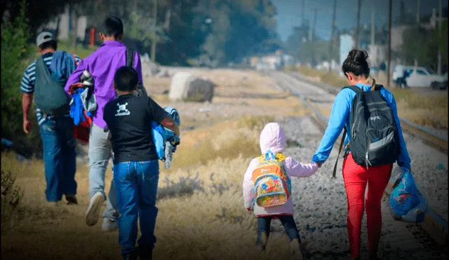 Los inmigrantes se sienten seguros en el estado de California, Washington y Nueva Jersey Los inmigrantes se sienten seguros en el estado de California, Washington y Nueva Jersey