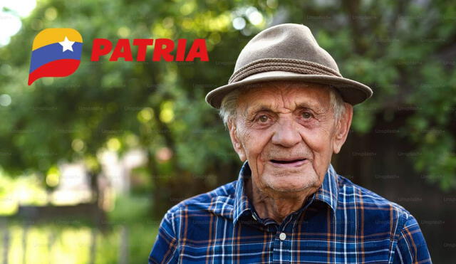 La mayoría de bonos de la patria se entregan por la plataforma del mismo nombre. Foto: composiciónLR/Freepik/Patria La mayoría de bonos de la patria se entregan por la plataforma del mismo nombre. Foto: composiciónLR/Freepik/Patria