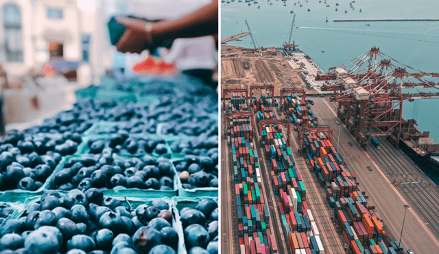 El Midagri resalta que las exportaciones agrarias tradicionales sumaron US$2.874 millones. El Midagri resalta que las exportaciones agrarias tradicionales sumaron US$2.874 millones.