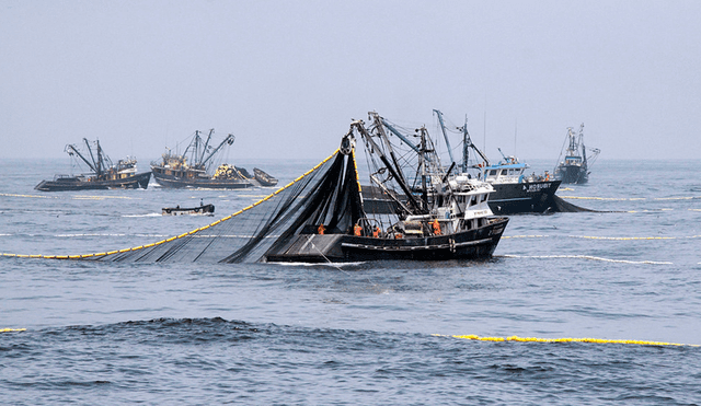 Presión. La pesca industrial está prohibida en Paracas, pero la SNP quiere cambiar la norma. Foto: Produce Presión. La pesca industrial está prohibida en Paracas, pero la SNP quiere cambiar la norma. Foto: Produce