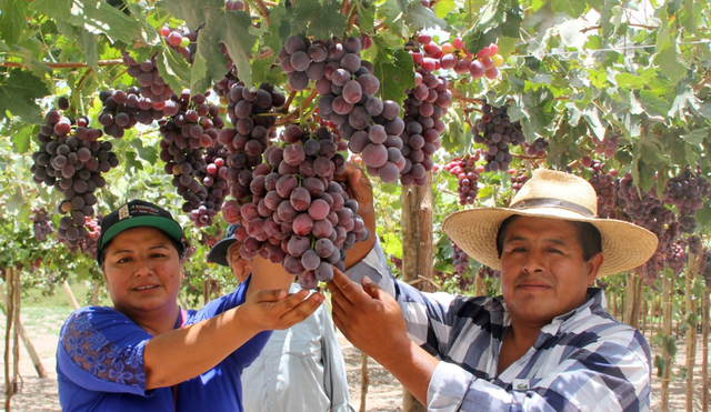 Las exportaciones peruanas sumaron US$20.625 y crecieron 27,3% en el primer trimestre de 2025. Las exportaciones peruanas sumaron US$20.625 y crecieron 27,3% en el primer trimestre de 2025.