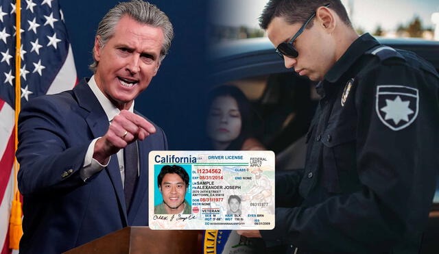 Ley en California exigen el uso del cinturón de seguridad para conductores y pasajeros. Ley en California exigen el uso del cinturón de seguridad para conductores y pasajeros.