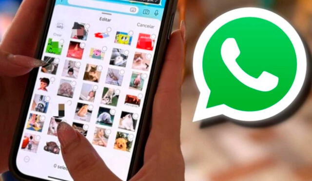 Función de WhatsApp está disponible en Android y iPhone. Función de WhatsApp está disponible en Android y iPhone.