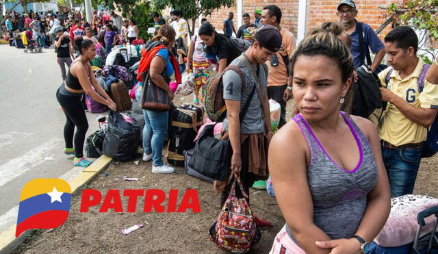 La mayoría de bonos de la patria se pagan por la plataforma del mismo nombre. Foto: composiciónLR/CNN/Patria La mayoría de bonos de la patria se pagan por la plataforma del mismo nombre. Foto: composiciónLR/CNN/Patria