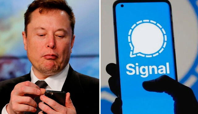 La popularidad de Signal sigue en aumento, sobre todo en Estados Unidos. La popularidad de Signal sigue en aumento, sobre todo en Estados Unidos.