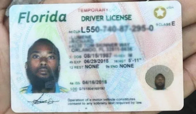 Florida implementa tarifas anuales para obtener o renovar licencias de conducir a través del FLHSMV. Florida implementa tarifas anuales para obtener o renovar licencias de conducir a través del FLHSMV.