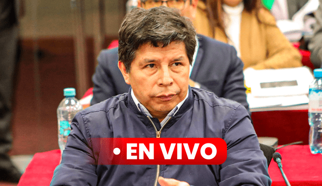 Juicio oral contra Pedro Castillo se desarrolla desde el penal de Barbadillo. Foto: composición LR Juicio oral contra Pedro Castillo se desarrolla desde el penal de Barbadillo. Foto: composición LR