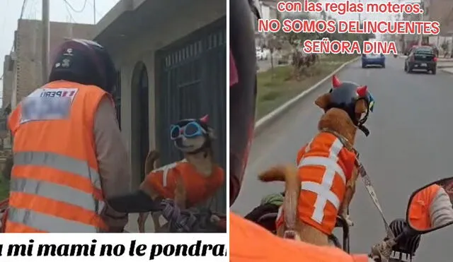 “Esa es la actitud", reaccionaron usuarios en clip viral. Foto: composición LR/ TikTok “Esa es la actitud", reaccionaron usuarios en clip viral. Foto: composición LR/ TikTok