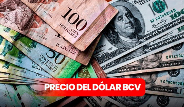 Precio del dólar BCV hoy, 25 de mayo: consulta la tasa del dólar, vía Banco Central de Venezuela Precio del dólar BCV hoy, 25 de mayo: consulta la tasa del dólar, vía Banco Central de Venezuela