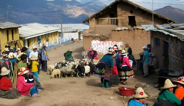 Kopp asegura que los docentes deben adoptar la postura de "aprendices" en estas comunidades. Foto: Flickr Kopp asegura que los docentes deben adoptar la postura de "aprendices" en estas comunidades. Foto: Flickr