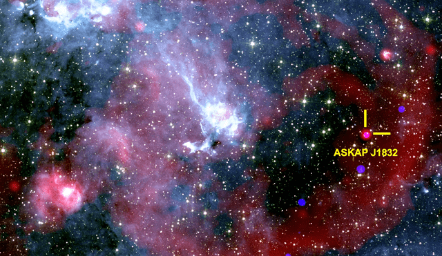 Astrónomos han descubierto una estrella extraña, ASKAP J1832, que emite rayos X cada 44 minutos. Foto: Ziteng Wang/ICRAR Astrónomos han descubierto una estrella extraña, ASKAP J1832, que emite rayos X cada 44 minutos. Foto: Ziteng Wang/ICRAR