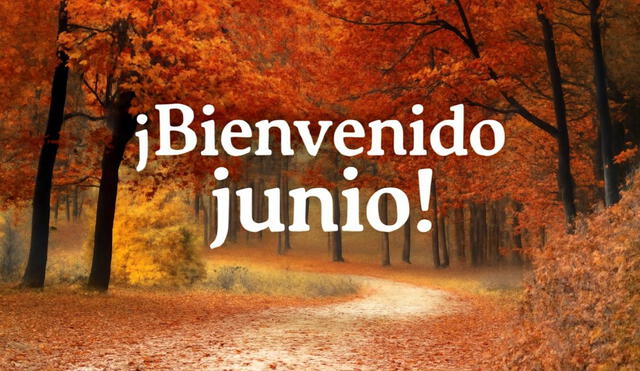 Comparte frases, mensajes y más por el mes de junio 2025. Comparte frases, mensajes y más por el mes de junio 2025.
