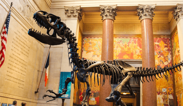 Museos de Nueva York ofrecen entrada gratis desde el 20 de junio. Museos de Nueva York ofrecen entrada gratis desde el 20 de junio.
