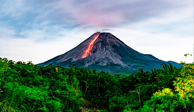 Investigadores encontraron cambios en el color de la vegetación cerca a los volcanes a punto de hacer erupción. Foto: Gani Pradana/ IStock Investigadores encontraron cambios en el color de la vegetación cerca a los volcanes a punto de hacer erupción. Foto: Gani Pradana/ IStock
