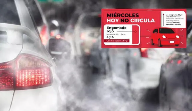 Revisa qué autos no circulan este 4 de junio por el programa en CDMX y Edomex. Revisa qué autos no circulan este 4 de junio por el programa en CDMX y Edomex.