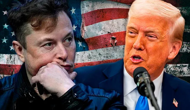 Elon Musk le responde a Donald Trump afirmando que sin él no habría ganado las elecciones de Estados Unidos. Elon Musk le responde a Donald Trump afirmando que sin él no habría ganado las elecciones de Estados Unidos.