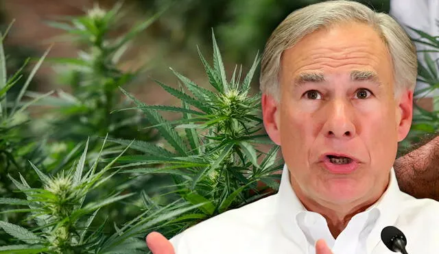 Un proyecto de ley en Texas busca restringir severamente los productos derivados del cáñamo (cannabis) con THC y espera la decisión del gobernador Greg Abbott. Un proyecto de ley en Texas busca restringir severamente los productos derivados del cáñamo (cannabis) con THC y espera la decisión del gobernador Greg Abbott.