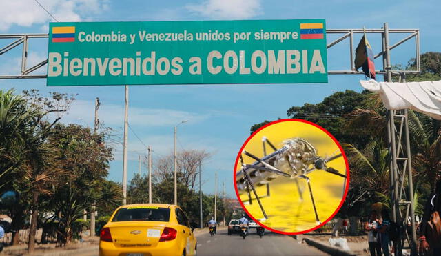En 2025, Colombia ha registrado 77 casos confirmados de fiebre amarilla, de los cuales 31 han sido mortales. Foto: composiciónLR/Banca y Negocios/RunRun En 2025, Colombia ha registrado 77 casos confirmados de fiebre amarilla, de los cuales 31 han sido mortales. Foto: composiciónLR/Banca y Negocios/RunRun