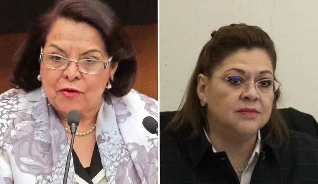 Tribunal de Disciplina podría ser encabezado por Celia Maya o Eva Verónica de Gyvés.