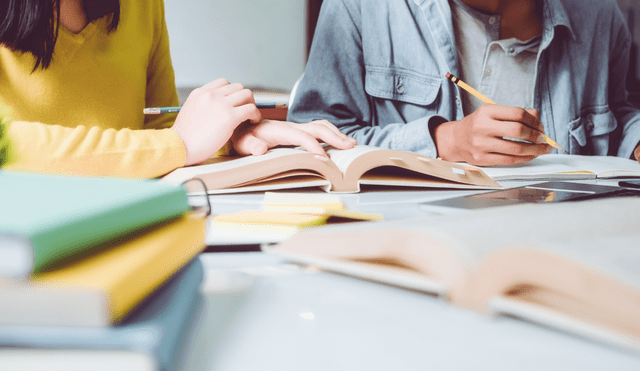 El bachillerato internacional se divide en varios enfoques, como el PYP, MYP y el Programa de Diploma. El bachillerato internacional se divide en varios enfoques, como el PYP, MYP y el Programa de Diploma.