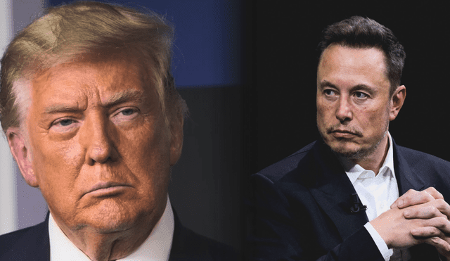 Elon Musk elimina su tuit que relaciona a Donald Trump con Jeffrey Epstein. Elon Musk elimina su tuit que relaciona a Donald Trump con Jeffrey Epstein.