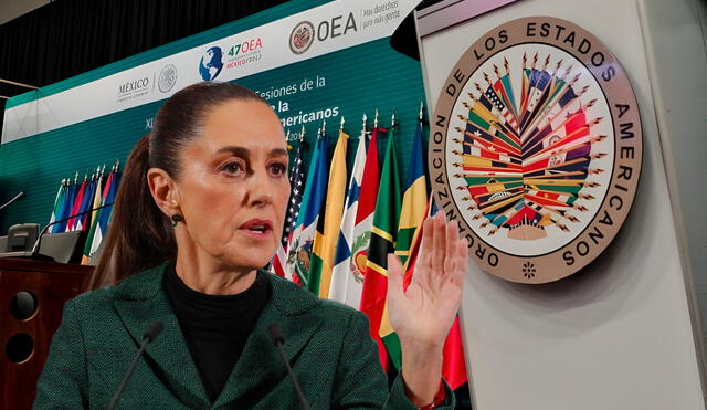 La respuesta de México surgió tras el informe de la OEA, publicado el 5 de junio. La respuesta de México surgió tras el informe de la OEA, publicado el 5 de junio.