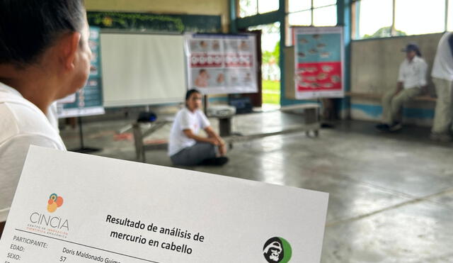 Un reciente estudio reveló la contaminación y sus consecuencias.