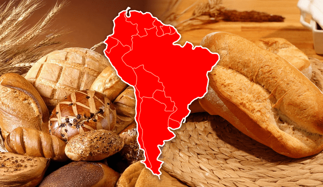 Los panes integrales contienen fibra dietética, la cual favorece el tránsito intestinal. Foto: composición LR/JAZMIN CERAS/AP Los panes integrales contienen fibra dietética, la cual favorece el tránsito intestinal. Foto: composición LR/JAZMIN CERAS/AP