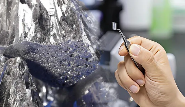 Científicos de la Universidad Fudan crean una retina artificial de telurio que restaura la vista en ratones ciegos y permite la percepción de luz infrarroja. Foto: composición LR/Wen Congjian Científicos de la Universidad Fudan crean una retina artificial de telurio que restaura la vista en ratones ciegos y permite la percepción de luz infrarroja. Foto: composición LR/Wen Congjian