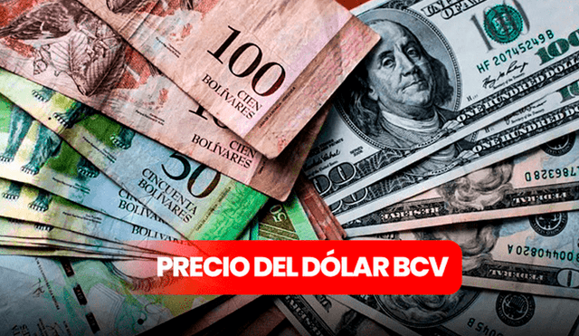 Precio del dólar BCV hoy, miércoles 11 de junio 2025, según el Banco Central de Venezuela. Foto: composición LR/AFP. Precio del dólar BCV hoy, miércoles 11 de junio 2025, según el Banco Central de Venezuela. Foto: composición LR/AFP.
