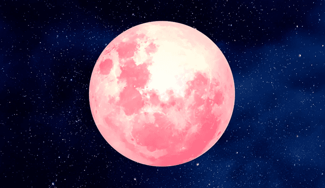 La Luna de Fresa de junio de 2025 deleitará a los observadores astronómicos. Foto: Unplash La Luna de Fresa de junio de 2025 deleitará a los observadores astronómicos. Foto: Unplash