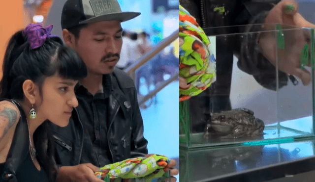 La pareja causó revuelo al presentarse con su mascota poco usual. La pareja causó revuelo al presentarse con su mascota poco usual.