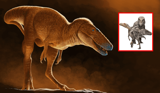 Khankhuuluu, la nueva especie era mesodepredador, similar a los coyotes. Foto: Composición LR/Julio Csotonyi Khankhuuluu, la nueva especie era mesodepredador, similar a los coyotes. Foto: Composición LR/Julio Csotonyi