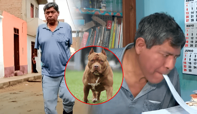 Fernando estuvo bajo el ataque de los feroces pitbulls durante 15 minutos. Foto: composición LR/América TV/Univisión Fernando estuvo bajo el ataque de los feroces pitbulls durante 15 minutos. Foto: composición LR/América TV/Univisión