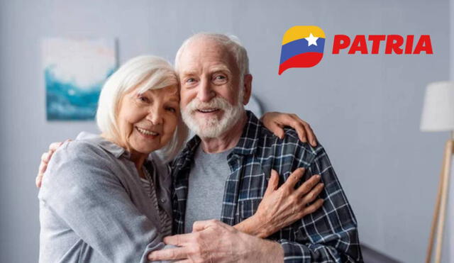 La mayoría de bonos se pagan por el Sistema Patria de Venezuela. Foto: composiciónLR/Freepik/Patria La mayoría de bonos se pagan por el Sistema Patria de Venezuela. Foto: composiciónLR/Freepik/Patria