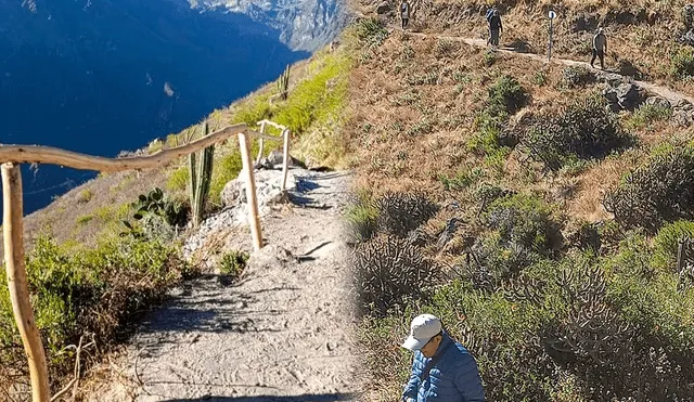 Guías turísticos mostraron su preocupación por la falta de seguridad en tres miradores del Colca. Foto: Mirelia Quispe