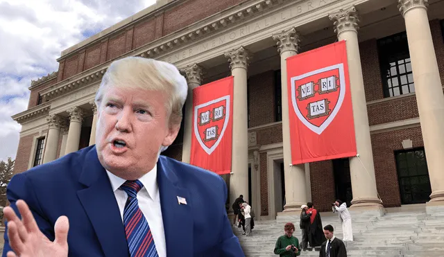 Trump y Harvard siguen en disputa por estudiantes internacionales. Trump y Harvard siguen en disputa por estudiantes internacionales.