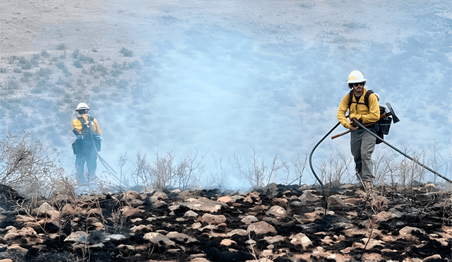 Dos fuertes incendios forestales se registraron en Nuevo México.