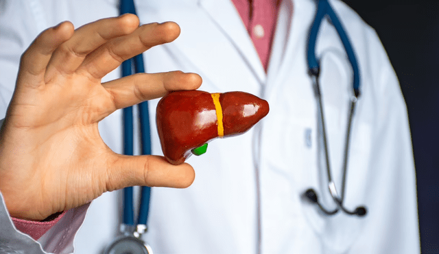 El hígado graso se ha convertido en una problema de salud común, debido a las rutinas sedentarias y dietas procesadas. Foto: IStock El hígado graso se ha convertido en una problema de salud común, debido a las rutinas sedentarias y dietas procesadas. Foto: IStock