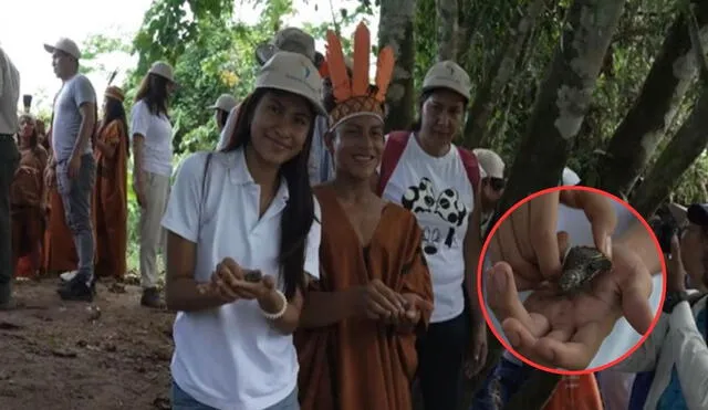 Gracias al proyecto "TaricaLovers", estudiantes de Pucallpa han trabajado en la conservación de las tortugas amazónicas. Gracias al proyecto "TaricaLovers", estudiantes de Pucallpa han trabajado en la conservación de las tortugas amazónicas.