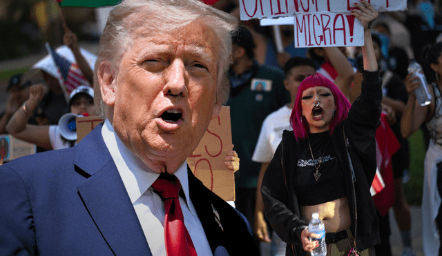 Donald Trump y USCIS podrían deportar inmigrantes por fraude matrimonial o tráfico de armas. Donald Trump y USCIS podrían deportar inmigrantes por fraude matrimonial o tráfico de armas.