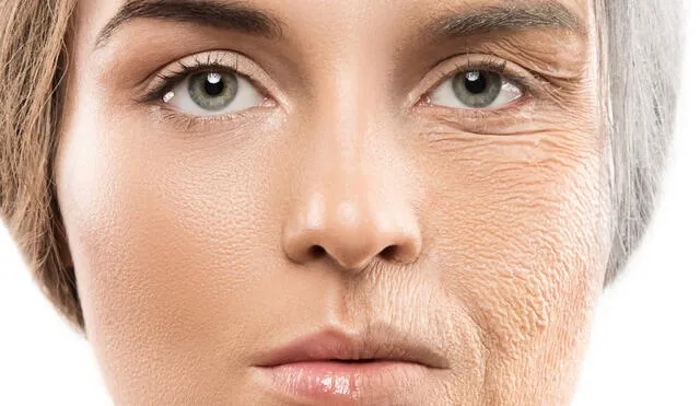 Estudio genético pionero revela que el envejecimiento humano ocurre en momentos críticos donde moléculas y genes sufren transformaciones intensas. Foto: Shutterstock