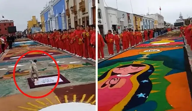 Hecho generó varias reacciones en redes sociales. Foto: composición LR/ TikTok